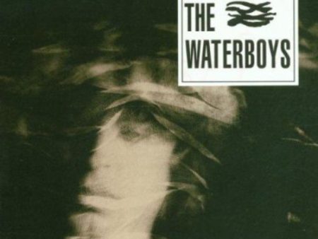 WATERBOYS - WATERBOYS Online