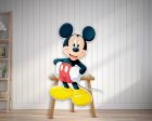 Mickey Mouse Cutout MKY-04 Online Hot Sale