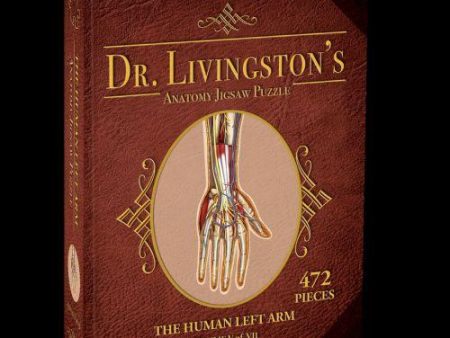 Puzzle - Genius Games - Dr Livingston: Human Left Arm (472 Pieces) For Cheap