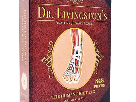 Puzzle - Genius Games - Dr Livingston: Human Right Leg (848 Pieces) Fashion